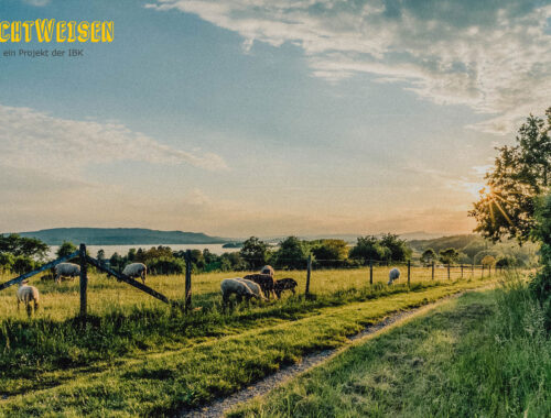 Bodensee-Idylle - Image by Hermann Schmider from Pixabay