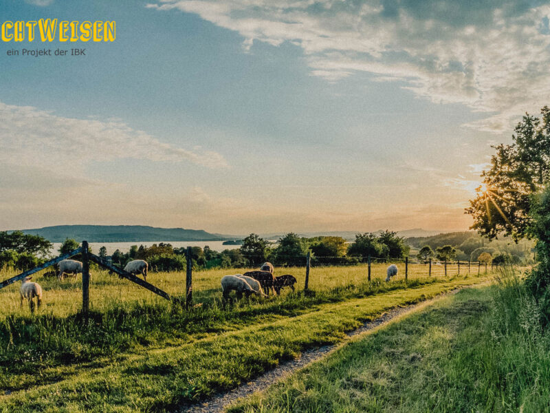 Bodensee-Idylle - Image by Hermann Schmider from Pixabay