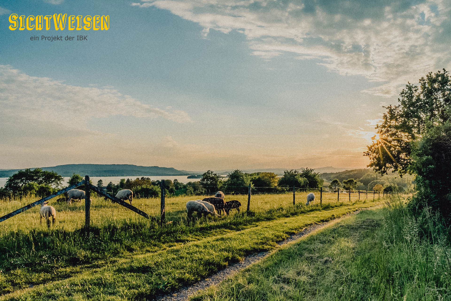 Bodensee-Idylle - Image by Hermann Schmider from Pixabay