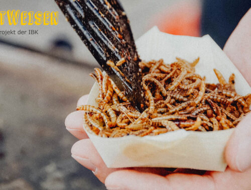 SichtWeisen | Insekten: Proteine auf sechs Beinen | Bild von ivabalk auf Pixabay