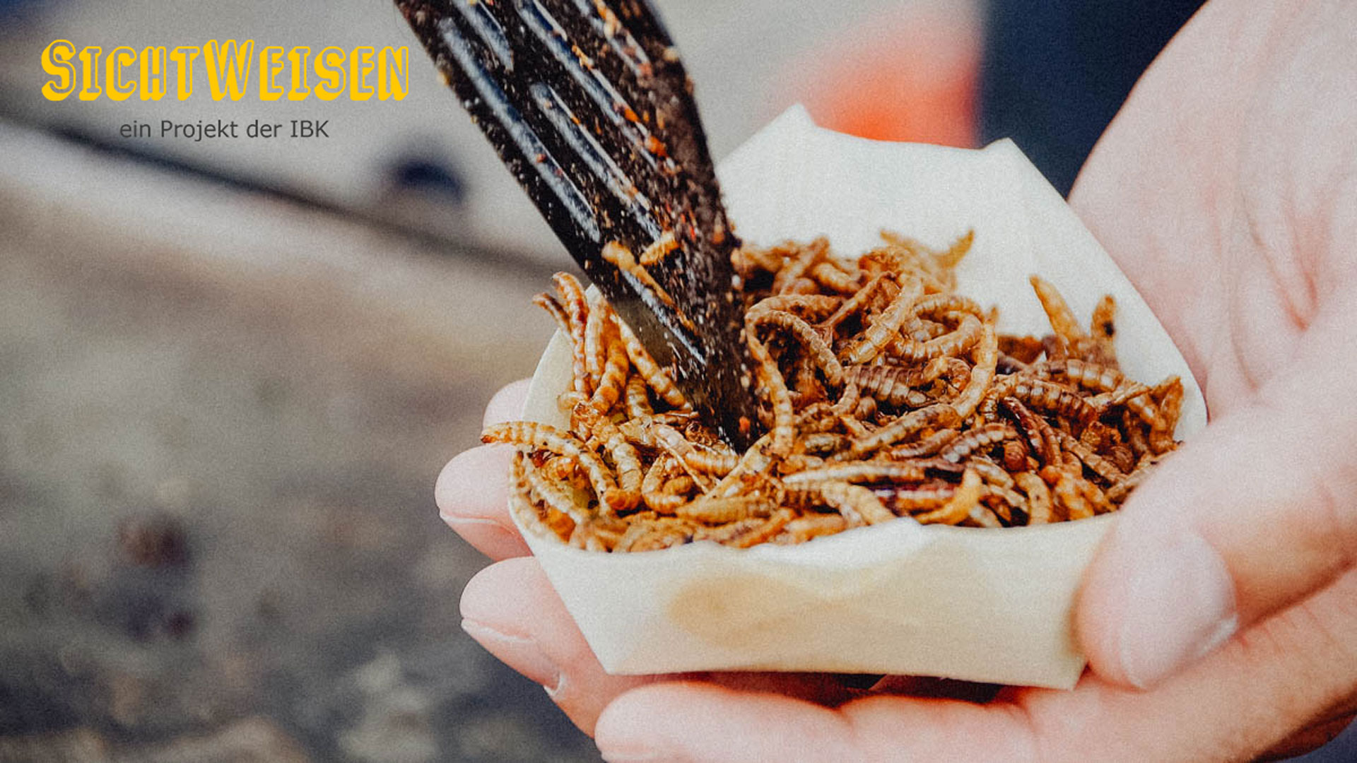 SichtWeisen | Insekten: Proteine auf sechs Beinen | Bild von ivabalk auf Pixabay