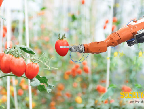 SichtWeisen | Race with the machine