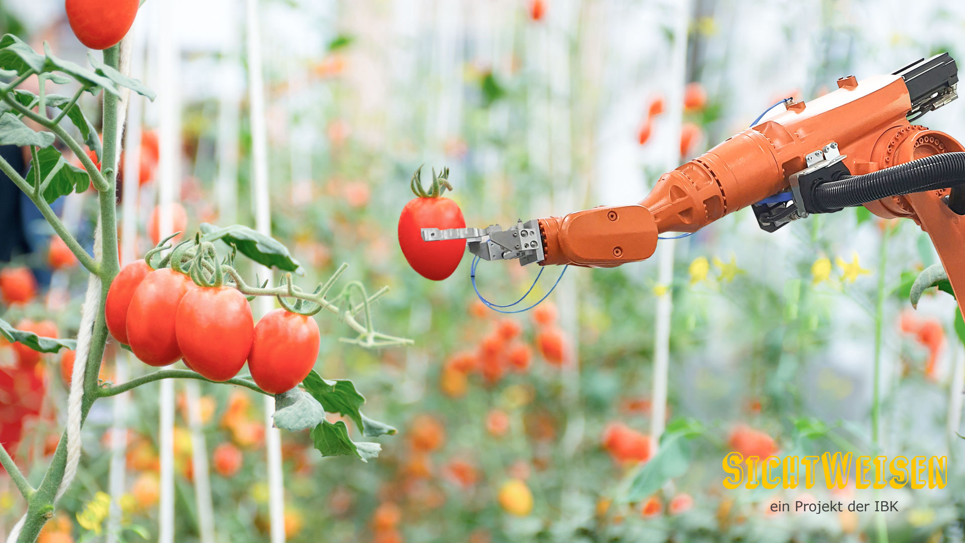 SichtWeisen | Race with the machine