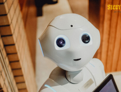 SichtWeisen | Roboter in der Alterspflege | Foto von Alex Knight von Pexels