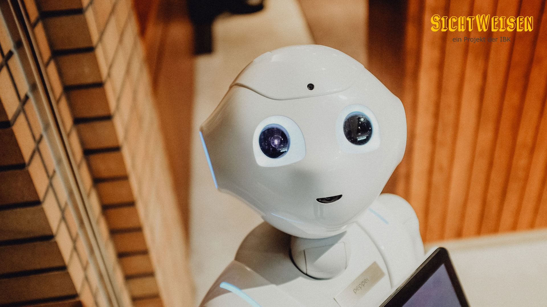 SichtWeisen | Roboter in der Alterspflege | Foto von Alex Knight von Pexels